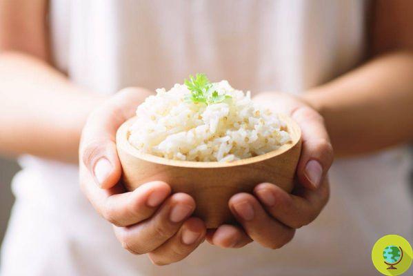 Rice: eating it in the evening helps to induce sleep