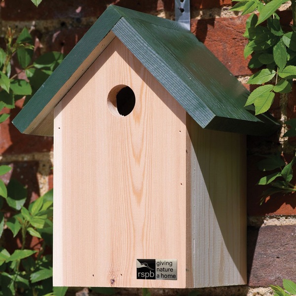 Casas de pássaros DIY: dicas para construí-las