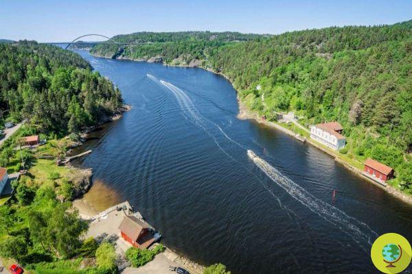 En Suède et en Norvège il y a des bibliothèques qui flottent dans les fjords