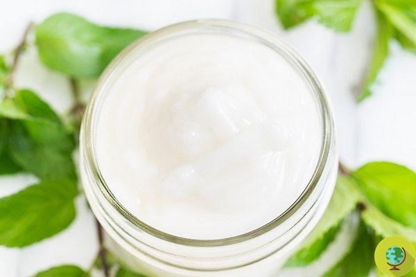 Do-it-yourself cosmetics: how to make vegan and eco-bio anti-cellulite cream
