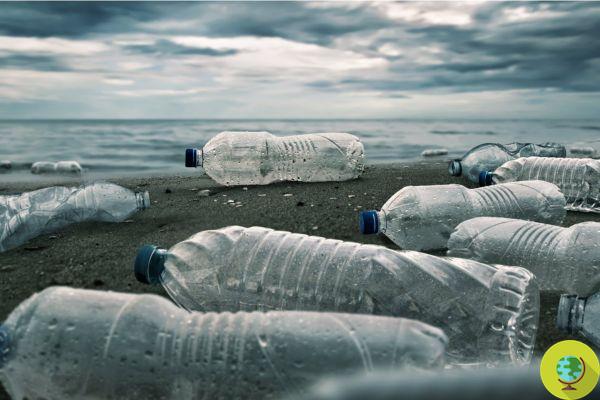 États-Unis : Un million de tonnes de déchets plastiques finissent au mauvais endroit