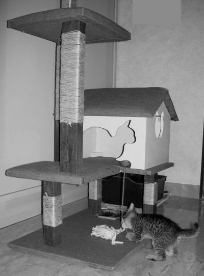 How to build a scratching post for your cat with recycled materials in 10 steps