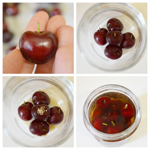 Homemade cherries in alcohol
