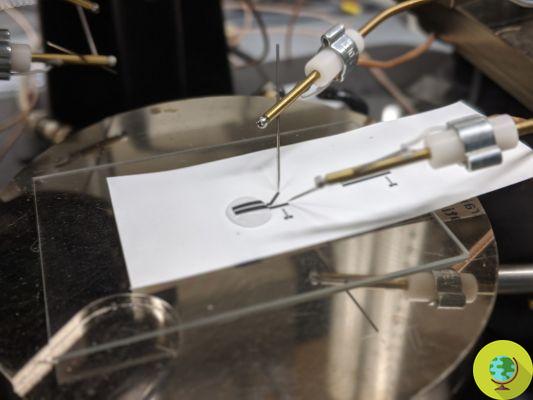 Scientists 3D print the world's first fully recyclable electronic transistor