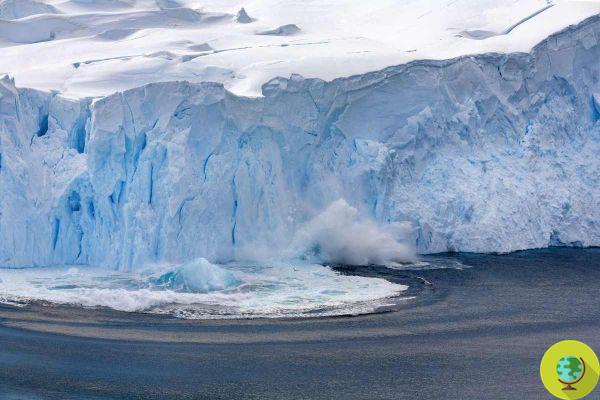 Part of Antarctica's ice could shatter within five years - an unprecedented domino effect