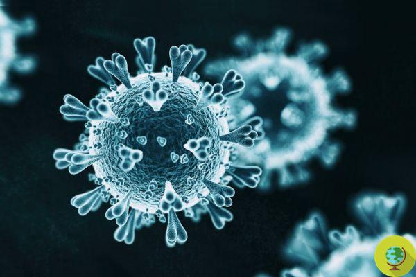 No, the coronavirus did not originate in a laboratory. The study that confirms its natural evolution