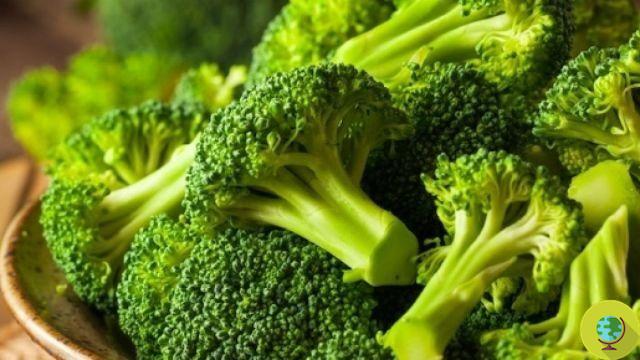 Brotes de brócoli: valiosos aliados contra la diabetes tipo 2