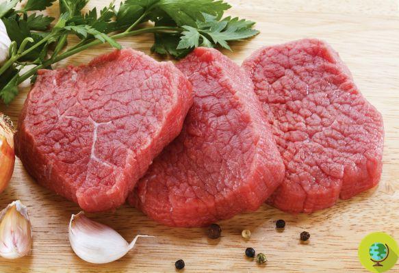 Hígado graso: cuidado con las proteínas animales. Confirmación en un nuevo estudio