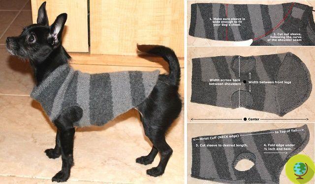 Abrigo de perro de bricolaje de un suéter viejo