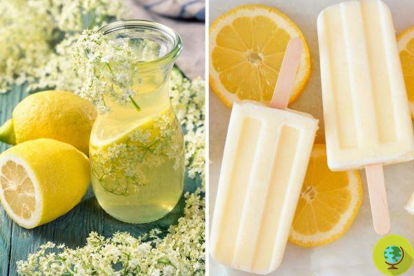Elderflower and Lemon Popsicles: Amaze everyone with the most refreshing recipe of the summer