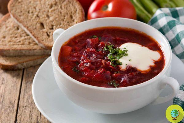 Faisons de la soupe, pas la guerre : le chef ukrainien nous demande de préparer tout le bortsch typique, voici la recette