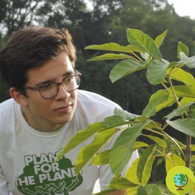 Felix Finkbeiner: a criança que plantou árvores