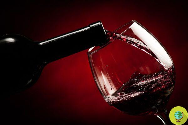 Red wine: a glass (no more) prolongs life