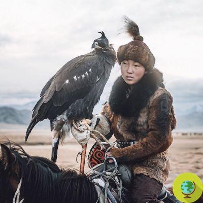 As imagens maravilhosas de uma das últimas mulheres nômades sobreviventes 'guardiões das águias' na Mongólia