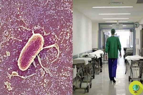 Nova Delhi: a bactéria resistente a antibióticos afeta a Toscana (64 casos apurados até agora)
