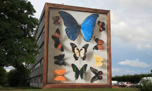 Las mariposas colorean la ciudad gracias a los extraordinarios murales de Mantra