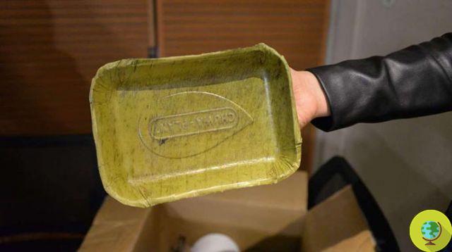 Bio plant: compostable dishes made with banana leaves