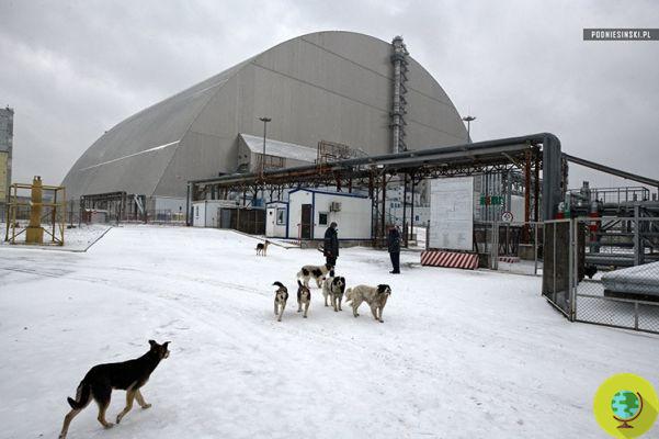 À l'intérieur de Tchernobyl, l'homme qui a fait découvrir au monde les zones les plus secrètes de la centrale électrique après la catastrophe