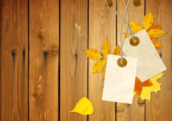 How to reuse fallen leaves in the fall
