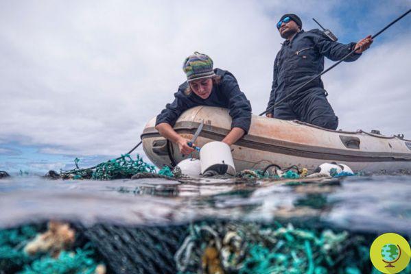 Great Pacific Garbage Patch: Removed more than 100 tons of garbage from the world's largest plastic island