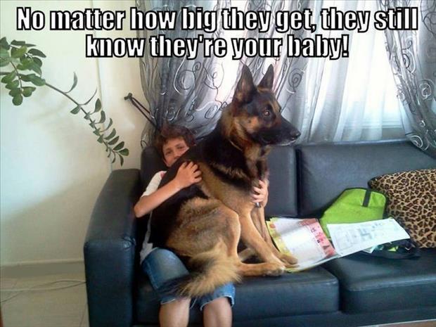 20 signs that you are 'crazy' about your dog (in a good way!)