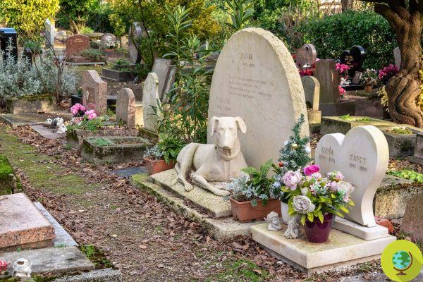 In Genoa dogs and cats can be buried with their owners