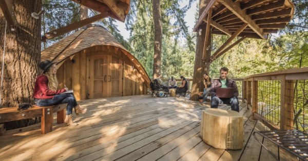 Goodbye office! Here are the treehouses that Microsoft built for its employees