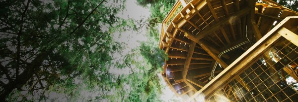 Goodbye office! Here are the treehouses that Microsoft built for its employees
