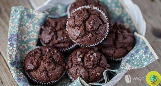 Chocolate muffins: the vegan recipe