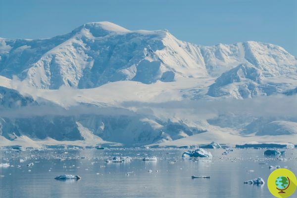 Alarme na Antártida: extensão do gelo para mínimos históricos, as consequências são dramáticas