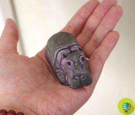 The artist who transforms stones into… sweet little animals to hold on the hand