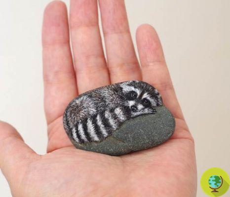 A artista que transforma pedras em… doces bichinhos para segurar na mão