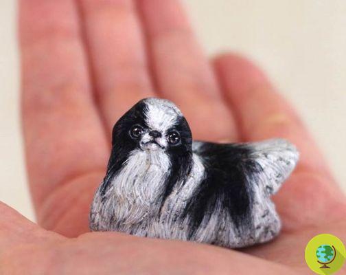 The artist who transforms stones into… sweet little animals to hold on the hand