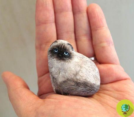 A artista que transforma pedras em… doces bichinhos para segurar na mão