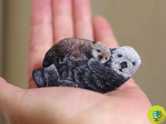 L'artiste qui transforme les pierres en… petits animaux tout doux à tenir dans la main