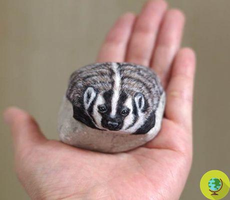El artista que transforma las piedras en… dulces animalitos para llevar en la mano
