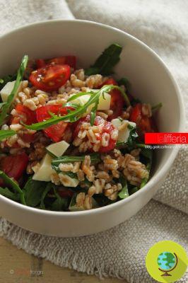 Spelled salad with rocket and tomatoes