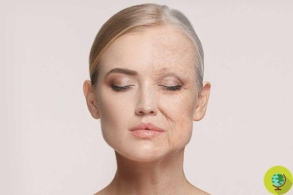 Vieillissement : des scientifiques parviennent à rajeunir les cellules de la peau humaine de 30 ans