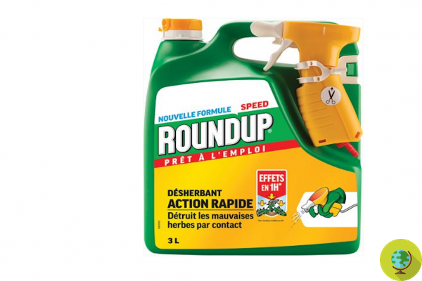 Roundup: Was EPA ruling on glyphosate influenced by Monsanto?