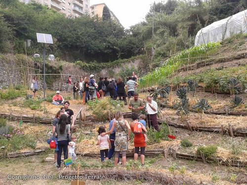 Jardins urbains à Lampedusa : comment et pourquoi amener des jardins sociaux sur l'île des migrants
