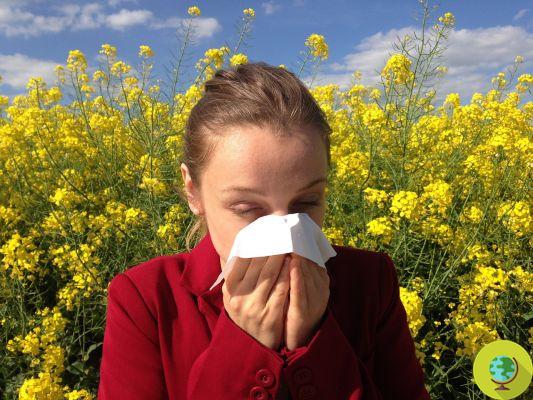 Alergias de primavera: um filtro no nariz para combater os sintomas?