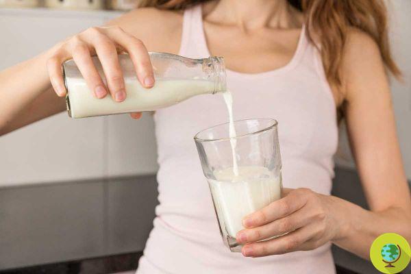 Do you drink milk every day? What could happen to your body (and the side effects according to science)