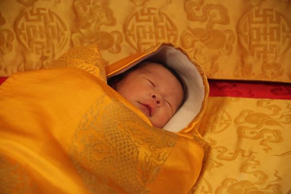Butão planta 108 árvores para comemorar o nascimento do bebê real (FOTO)