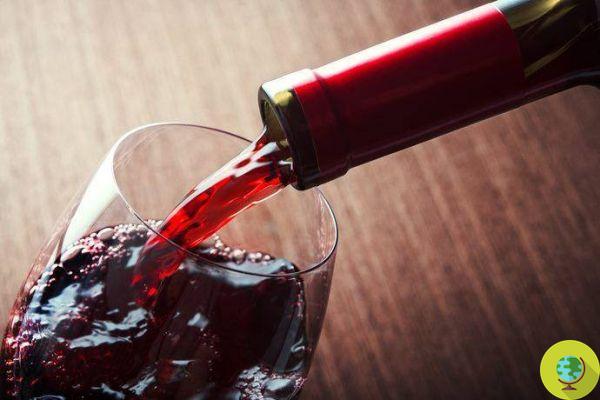 Red wine is weight loss and could help astronauts stay fit on Mars