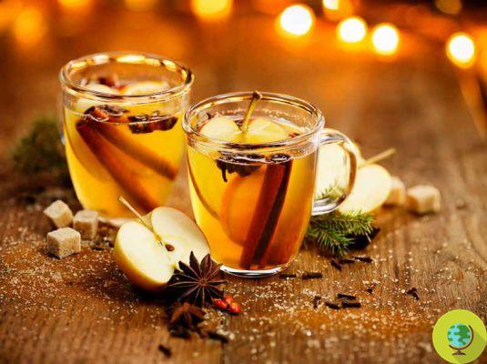 Não apenas chás de ervas! 5 bebidas quentes indianas (que você provavelmente não conhece) para relaxar e aquecer as noites mais frias