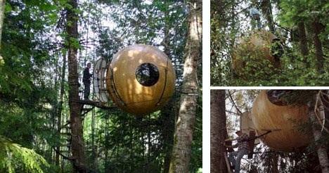 TreeHouses : vivre dans des cabanes dans les arbres