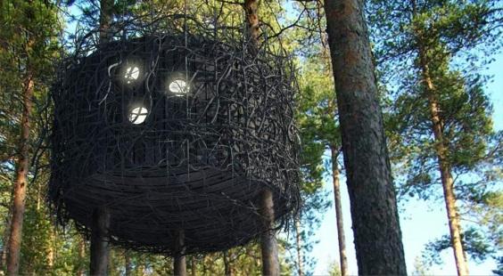 TreeHouses: vivir en casas en los árboles