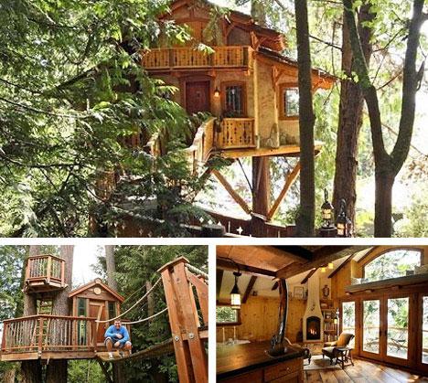 TreeHouses: vivir en casas en los árboles
