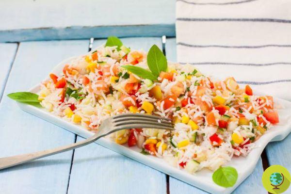Summer salads: 20 easy, fresh and healthy recipes