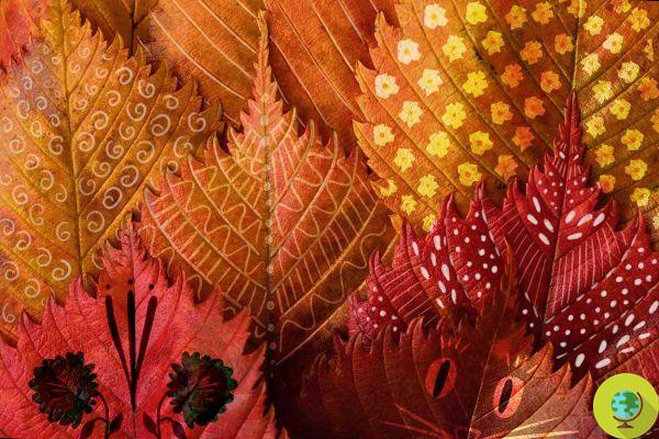 Recyclez les feuilles d'automne tombées et découvrez comment les peindre pour le bricolage et la décoration
